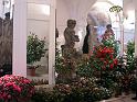 2006-03-11, Palaisfrühling (2)